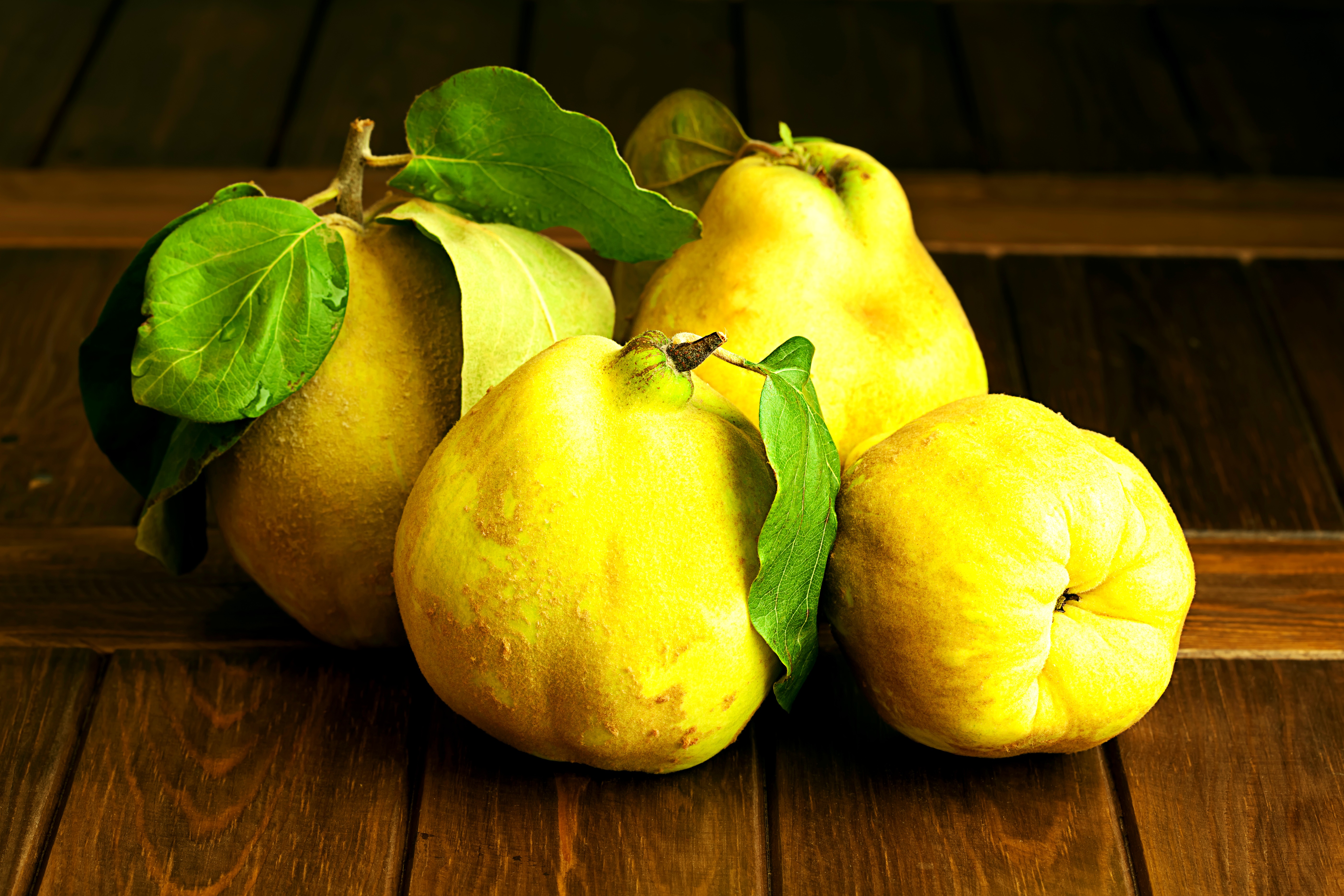 Membrillo árbol