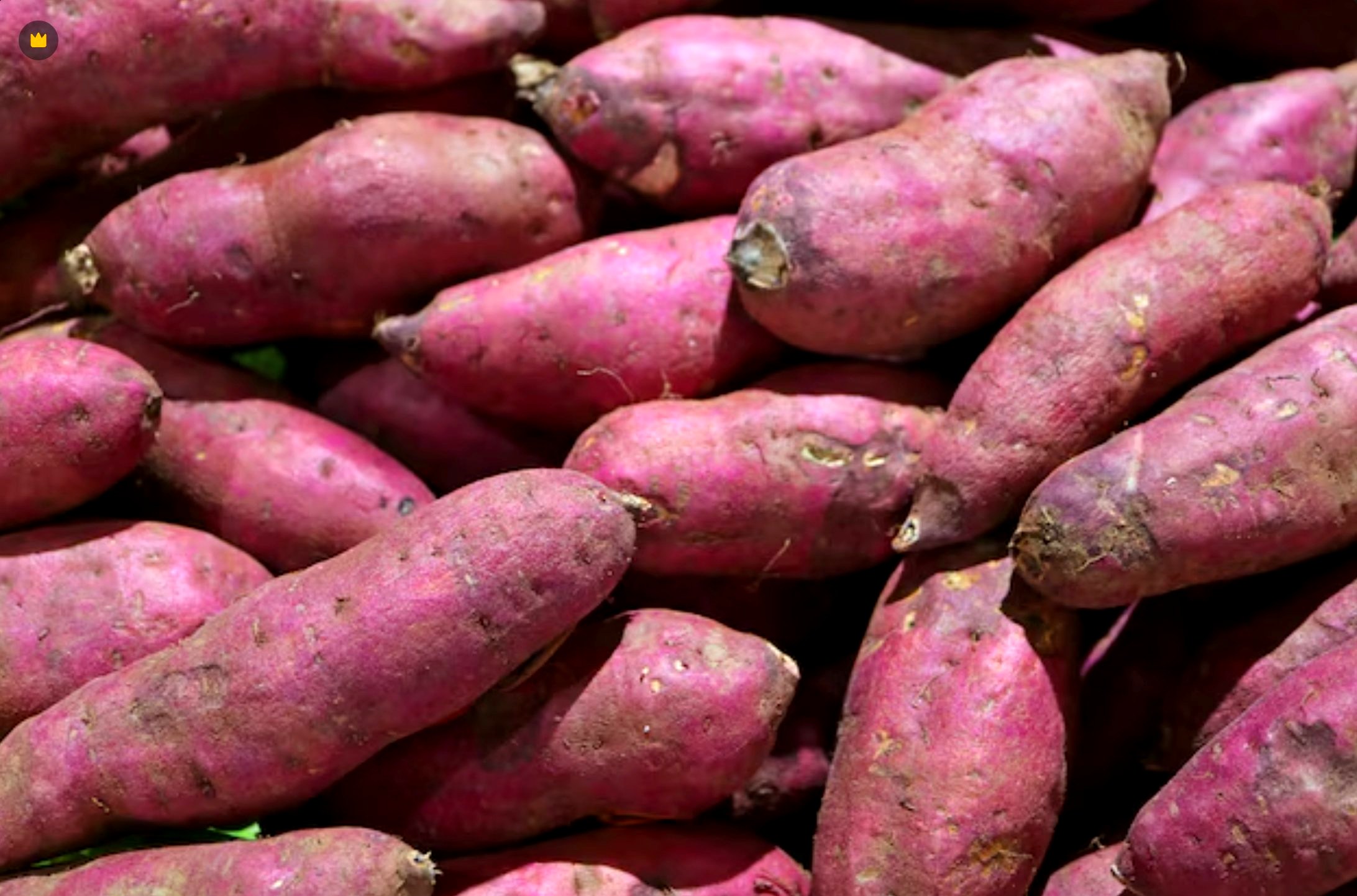 Batata